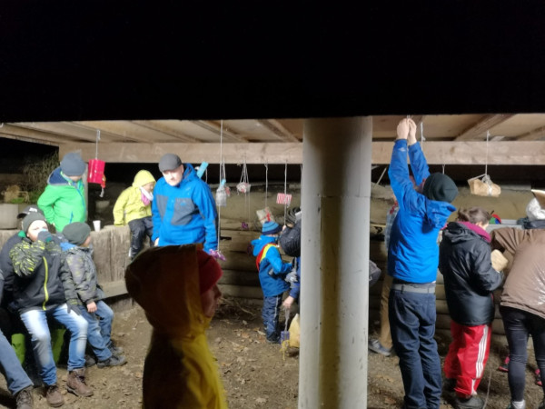 Waldweihnacht